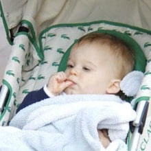 Lacoste Stroller
