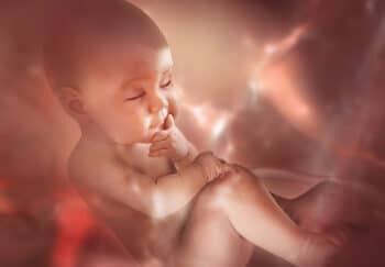 New Type Of Stem Cell In Amniotic Fluid, Placenta