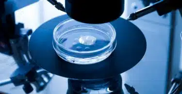 egg donation fertility