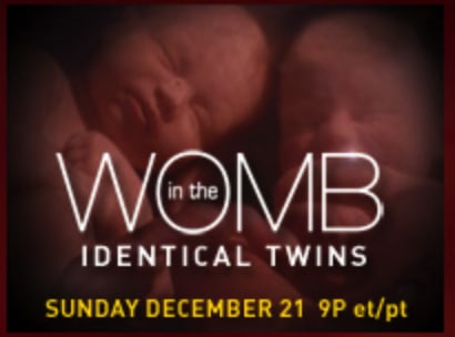 In The Womb - Identical Twins