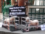 PETA Holds A Naked, Pregnant Protest Outside Jamie Oliver's Restaurant