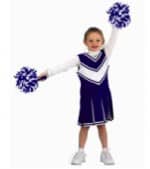 Aeromax Cheerleader Costume