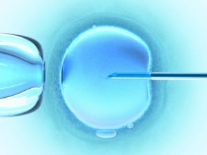 Expert Panel: Ontario Should Pay For In Vitro Fertilization