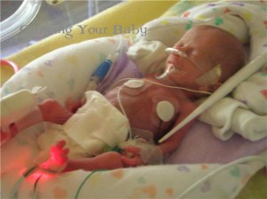 29 week preemie
