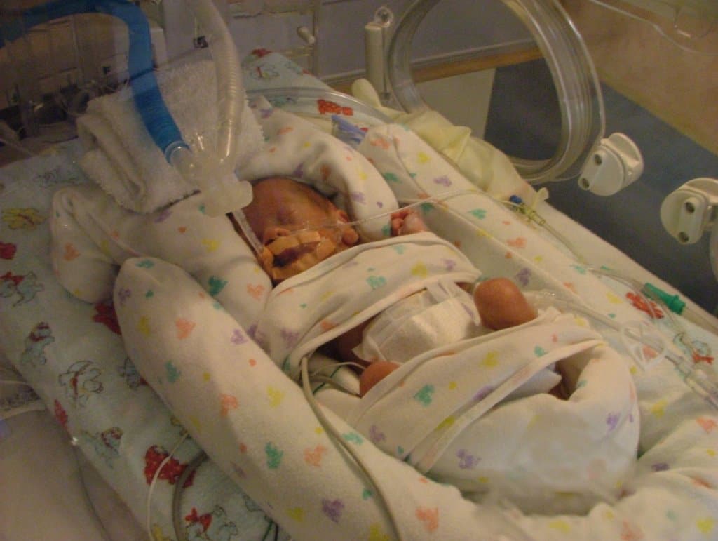 24 week baby growing your baby