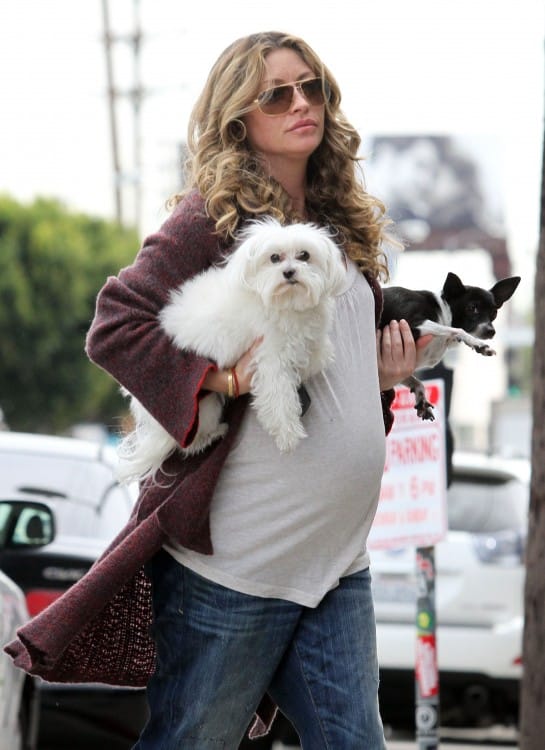 An Expectant Rebecca Gayheart Pampers Her Pooches