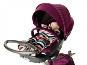 2010 Stokke Xplory