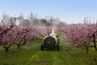 farmer spraying for pesticides
