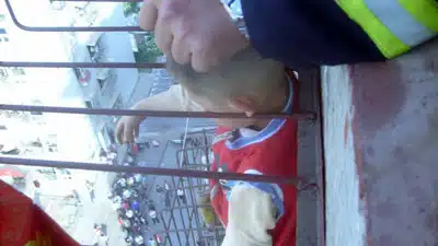 Ming Ming being rescued