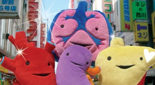 Plush Internal Organs Set - Heart, Lungs, Liver, Kidney