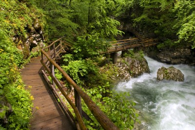 Wooden Path Through Beautiful canyon with river