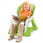 Fisher Price EZ Bundle - Toddler Seat