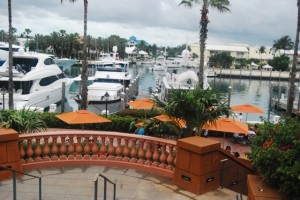 The Yachts in the Marina