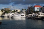 Yachts in the habour