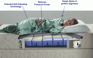 The Garden Sleep System