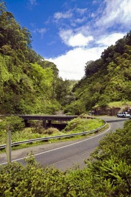 Maui - road to hana
