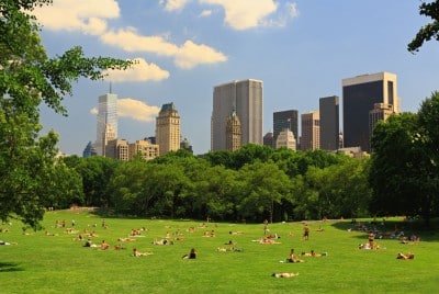The great lawn ~ Central Park