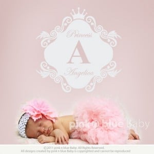 Pink N Blue Baby - Elegant script Custom name & Ornate frame wall decal - girl