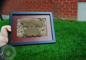 DIY Framed Hand-footprint kit