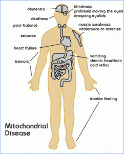 mitochondrial disease