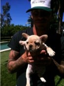David Beckham with new Puppy Scarlett