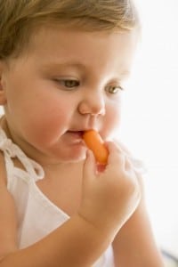 Toddler eating a carrot