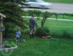 boys in the backyard