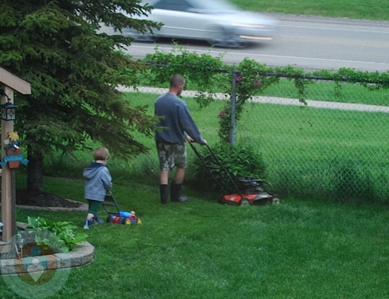 boys in the backyard