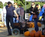 Amy Adams and Darren LeGallo with their daughter Aviana at Mr Bones Pumpkin Patch