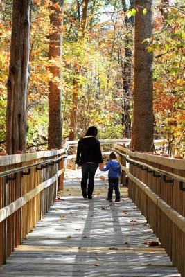 mom and daughter walking in the forest