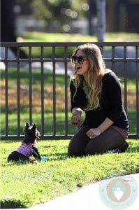 Pregnant Hilary Duff at the park