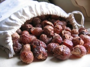 soapnuts