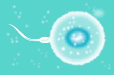 sperm IVF