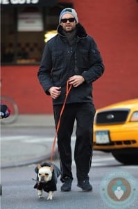 Hugh Jackman and French Bulldog Pup Peaches