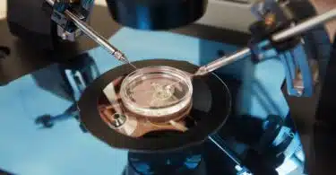 IVF under a microscope