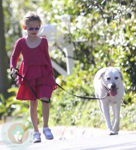 Violet Affleck walking the family's dog