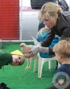 Julie Bowen with twins John and Gus Phillips at petting zoo