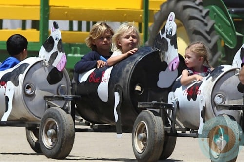 Kingston Rossdale, Zuma Rossdale at Underwood Family Farm