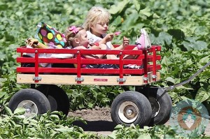 Zuma Rossdale at Underwood Family Farm