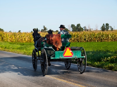 amish family