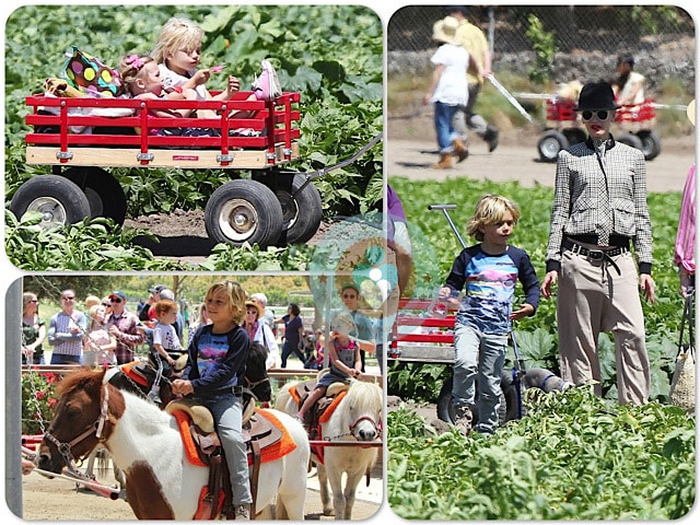 gwen stefani, Kingston Rossdale, Zuma Rossdale at Underwood Family Farm