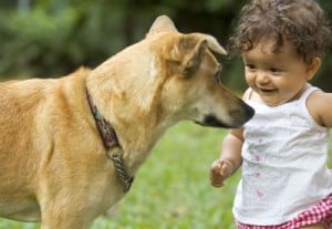 baby and dog