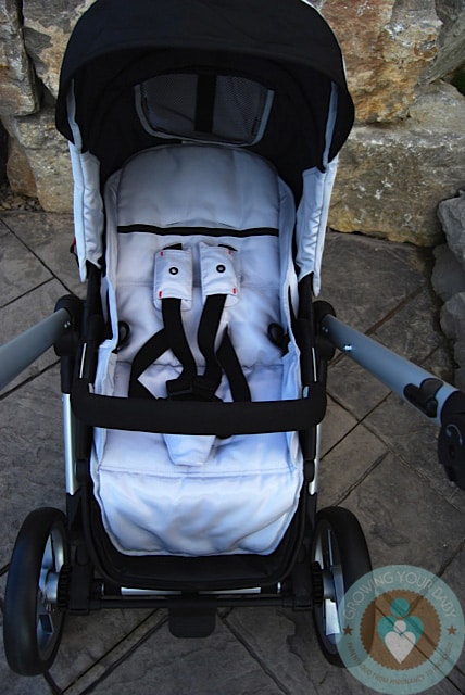 mutsy evo stroller review