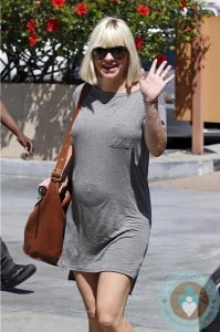 Pregnant Anna Faris shops in LA