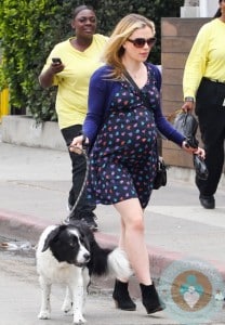 Pregnant Anna Paquin walks her dog in Venice Beach