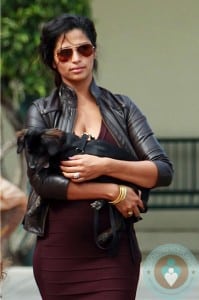 pregnant Camila Alves with a puppy