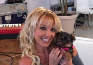 Britney Spears with her puppy Hannah