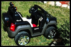 Joovy 4x4 - side view