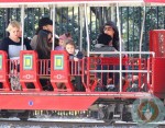 Sandra Bullock & Camila Alves Take Their Kids To City Park Storyland
