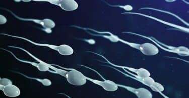 sperm swimming